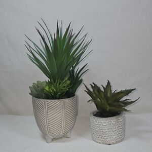Chic Faux Succulent Duo in Stylish Pots
